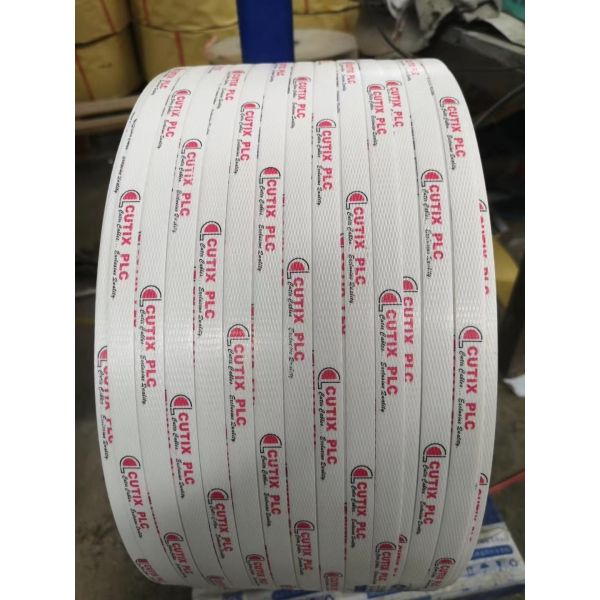 Plastic PP Strapping Band Production Line Integral Type PP Strap Extrusion