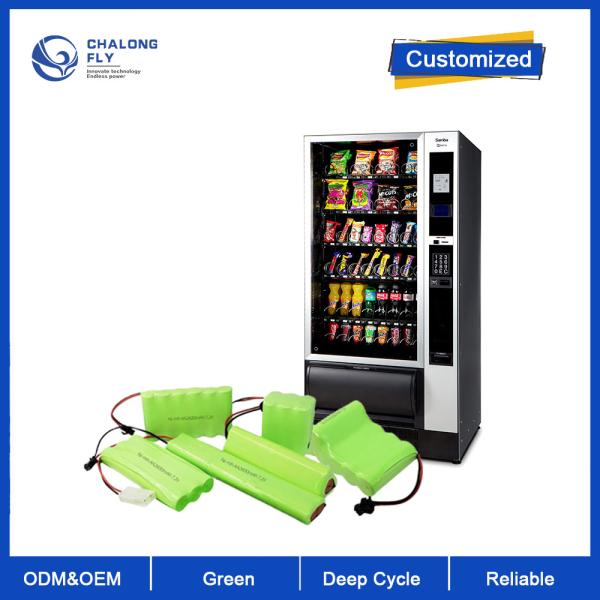 CLF LiFePO4 48V 30AH Lithium Ion Deep Cycle Battery 4700mAH Capacity for Vending