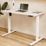 Electric Height Adjustable Desk Wooden Recording Studio Table for Girl Computer