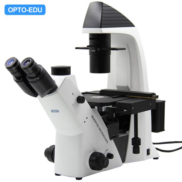 China Opto-Edu A14.2603 Inverted Optical Microscope Trinocular Phase Contrast factory