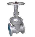Threaded End Full Port Gate Valve ASME 300LB Oil Flanged Connection Ends