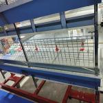 Modern Poultry Battery Cage , SGS 3/4 Floors 150 Broiler Chicken Farming