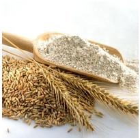 China GG Flour Mesh - PET-GG Series Flour Mesh factory