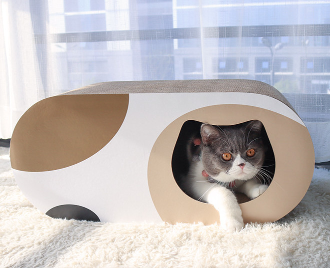 box bed for cats