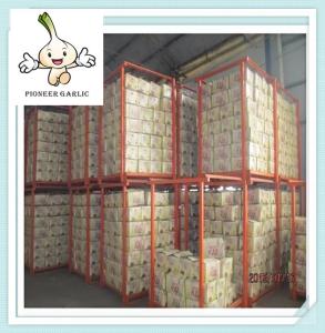 China jinxiang 4.5-6.0 cm fresh normal white garlic 2016 New Chinese Garlic factory