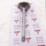 Inlet And Exhaust Valve 04509353 04509354 0450 9353 0450 9354 4509353 4509354