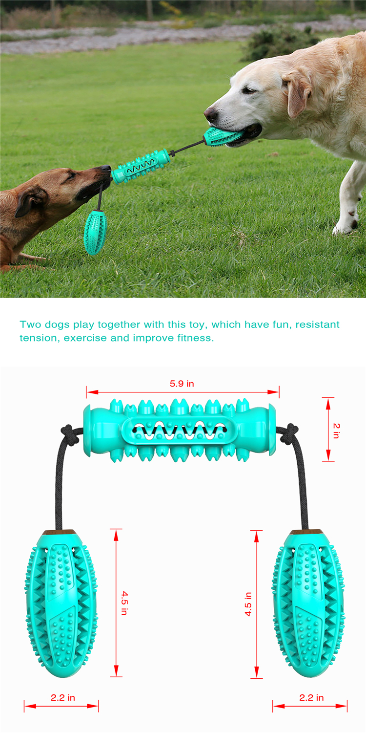 2021 Top Selling Funny Interactive Puppy Teeth Cleaning Chew Toy Dog Toothbrush Toy