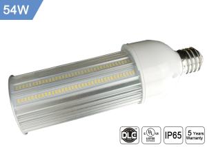 China SAMSUNG Chip Led 110lm/w PF&gt;0.9 E27 54W 3000K 4000K 5000K Street LED Bulb Light factory