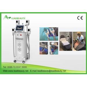 Professional best price cool body sculpting body slimming weight loss cryolipolysis machine with CE