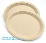 biodegradable tableware 5 compartment sugarcane tray,100% Biodegradable