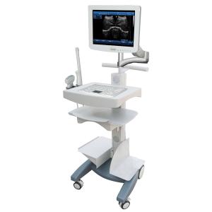 China Touch screen 3D Ultrasound Scanner Machine-- SS-100 factory