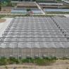 Buy cheap Automated Ventilation Venlo Type Greenhouse Polycarbonate Green House Energy from wholesalers