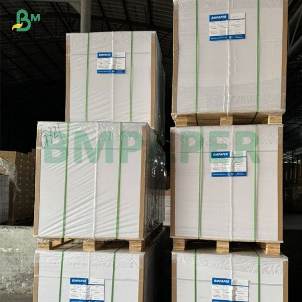 50gsm Bleached Porous Filter Paper For Electric Drip Coffee Makers