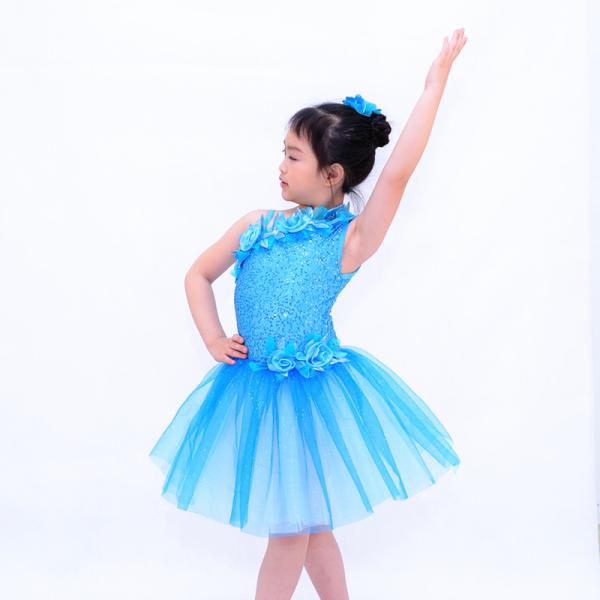 Diagonal Neckline Glitter Floral Tutu Dress Blue Little Girls Dance Clothes