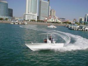 China White Fiberglass Fishing Boats 6m Easy Install Light Weight For Pleasure Fishing factory