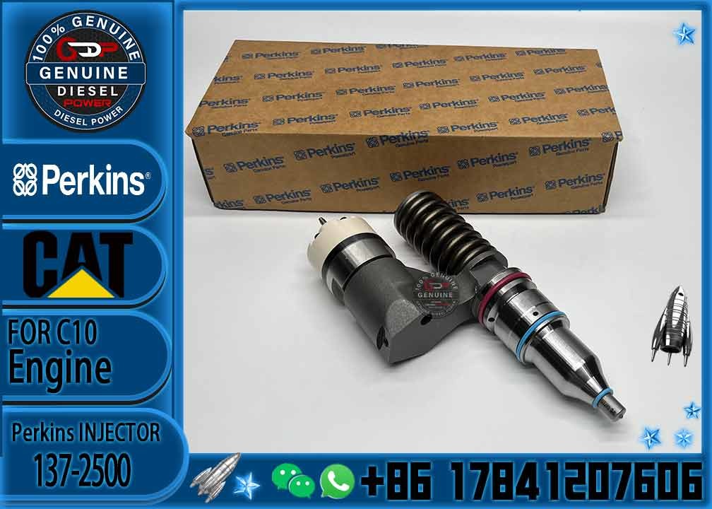 10R-1258 10R-1259 common rail excavator fuel injector for CAT C10 C12 engine injector 10R-1258 10R-1259