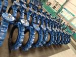 Cast ductile iron pn16 jis10k chinese factory Lug type butterfly valves