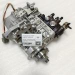 Hyunsang Parts Pump Assy YM723945-51320 YM72394551320 Fuel Injection Pump WB93R