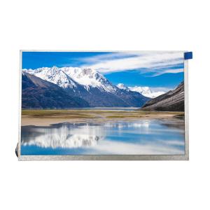 China 10.1 Inch 1280*800 40pins Lvds Interface IPS TFT LCD Panel factory