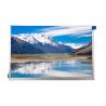 Buy cheap 10.1 Inch 1280*800 40pins Lvds Interface IPS TFT LCD Panel from wholesalers