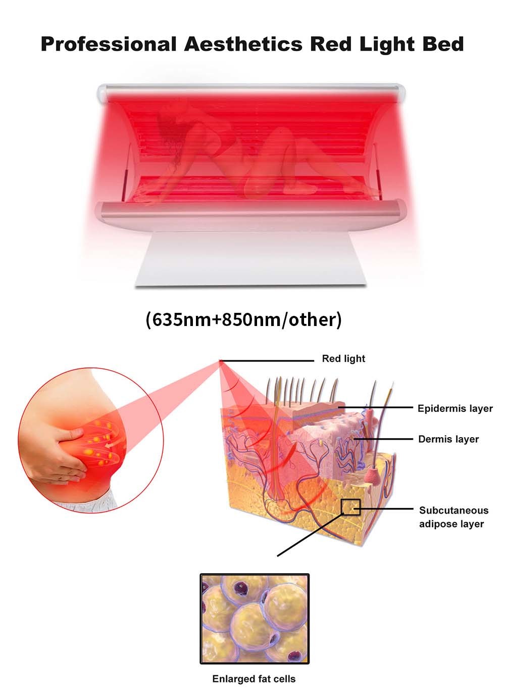 Photodynamics 830nm LED Red Light Therapy Beds 185*85*90cm