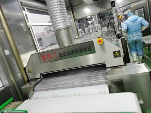 China huge capacity ODM Tunnel liquid nitrogen Quick Freezing Equipment factory