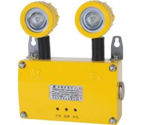 China BAJ52-6B Marine Explosion Proof Emergency Light 3W×2 For Hazardous Location factory