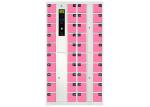 Cold Rolled Steel Smart Electronic Locker For Schools