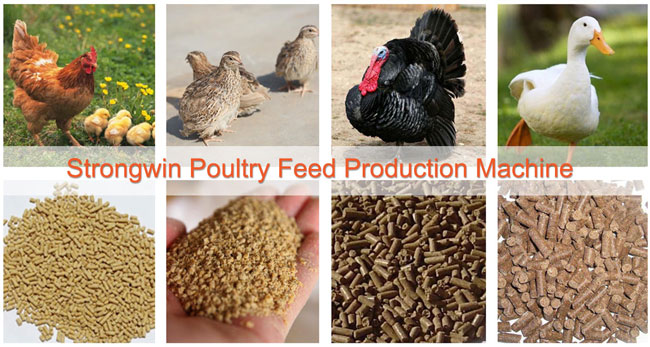 animal feed production line