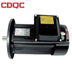 China Anticorrosion PMSM Synchronous Motor 380V/60Hz IP54/55 Water Proof factory