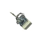 Adjustable Switch Blub And Capillary Thermostats 16A 250VAC 400C WTA Liquid