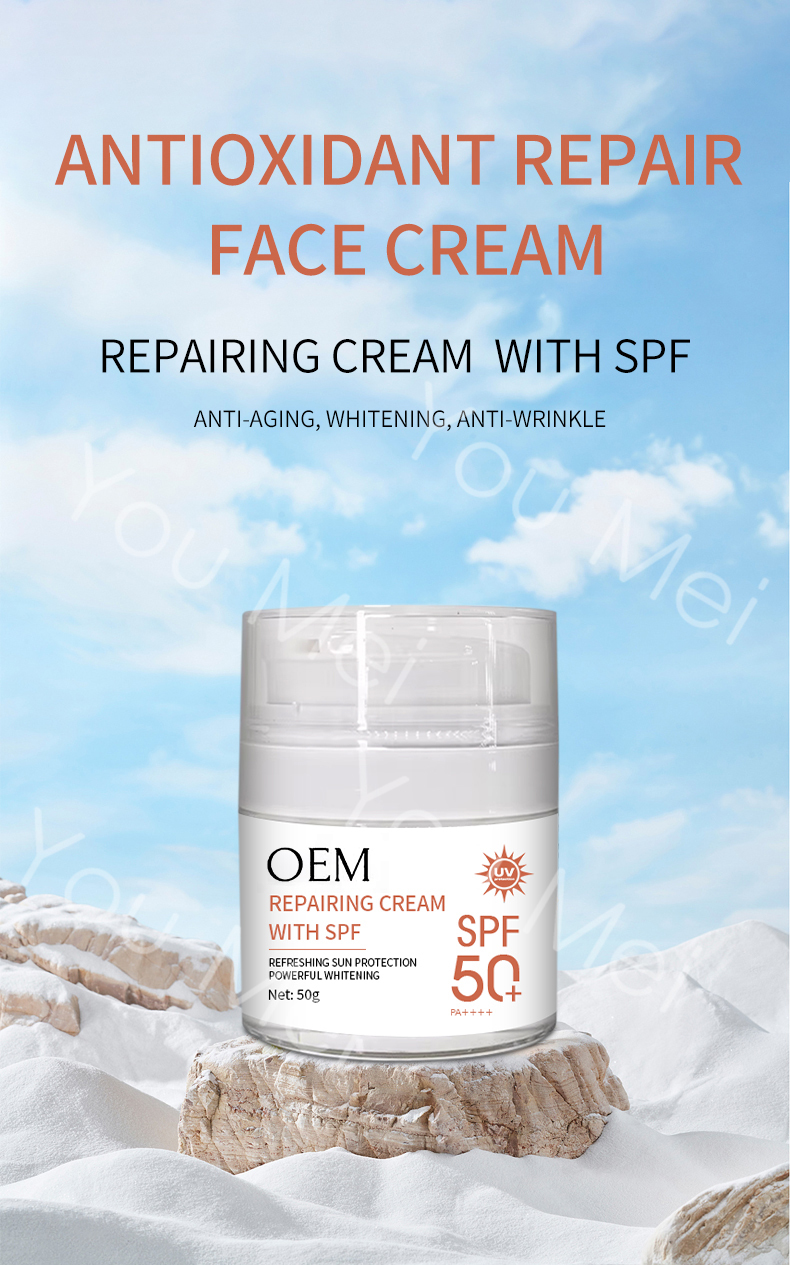 UV Protection Sun Cream SPF 50 Face Cream Daily Sunscreen Moisturizer ODM