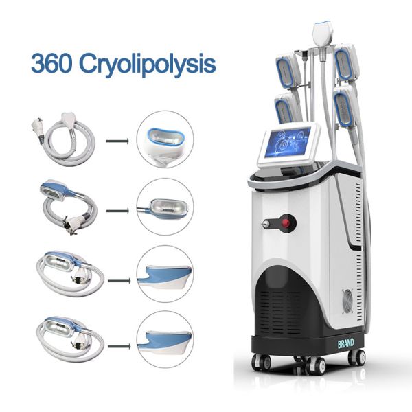 China 360 Cryolipolyse Cryotherapy Machine factory