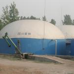 Roof Top Double Membrane Gas Holder Sphere Shape For Biogas Storage