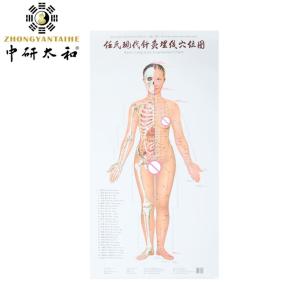China Individualized Acupuncture Culture Harnessing Body's Natural Healing Abilities With Acupuncture factory