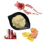 Anti Inflammatory Pomegranate Extract Ellagic Acid Cosmetic Grade