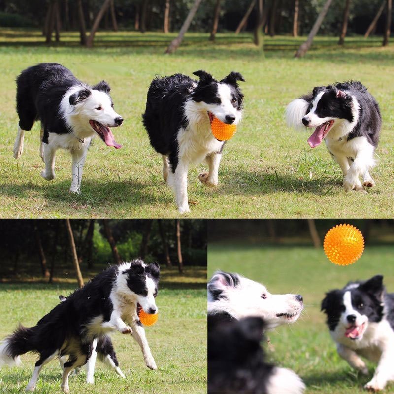 Dog Molar Rubber Ball Teeth Cleaning Sound Toy TPR Small Thorn Ball Elastic Interactive Training Puzzle