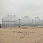 Large Agricultural Polycarbonate Sheets Greenhouse Price From China