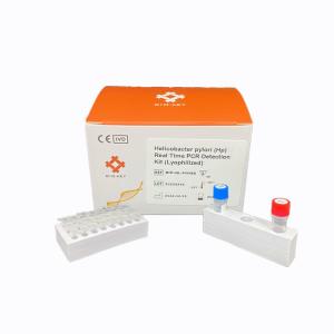 China High Accuracy Molecular Diagnosis Helicobacter Pylori RT QPCR Kit Lyophilized factory