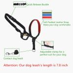 Multifuction Nylon Dog Leash , Comfortable Dog Head Leash With Padded Leather