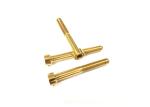 Motorcycle Titanium Bolts Screws Round Head Bolts Din 912 M5 Titanium Screws