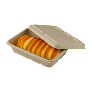 China Unbleached Recyclable Compostable Meal Prep Containers Takeout Sugarcane Paper factory