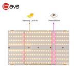 240W LM301B LED Grow Light
