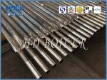 Heat Exchange Boiler Water Wall Panels For Power Station , Painted Carbon Steel