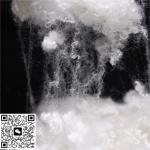 Premium 100% Polyester Staple Fiber Grade A Customized Specific