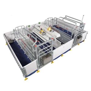 China Livestock Pig Farm Equipment Farrowing Bed For Sow factory