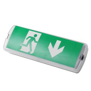 Rechargeable LED Emergency Lamp 3W 6500K Ni-CD Battery IP20