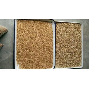 Chia Seeds Color Sorter Machine With Image Analysis And AI Self Learning