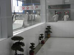 China Factory Sale Noodle Making Machine Equipment Industrial Instant Noodle Machine factory