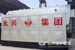 Wood Fired Steam Boiler DZL Type Chain Grate Stoker
